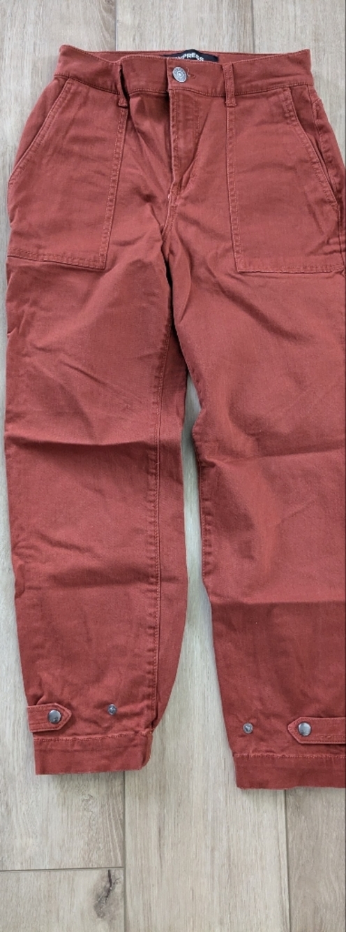 Express Rust Red Cropped Utility Pants